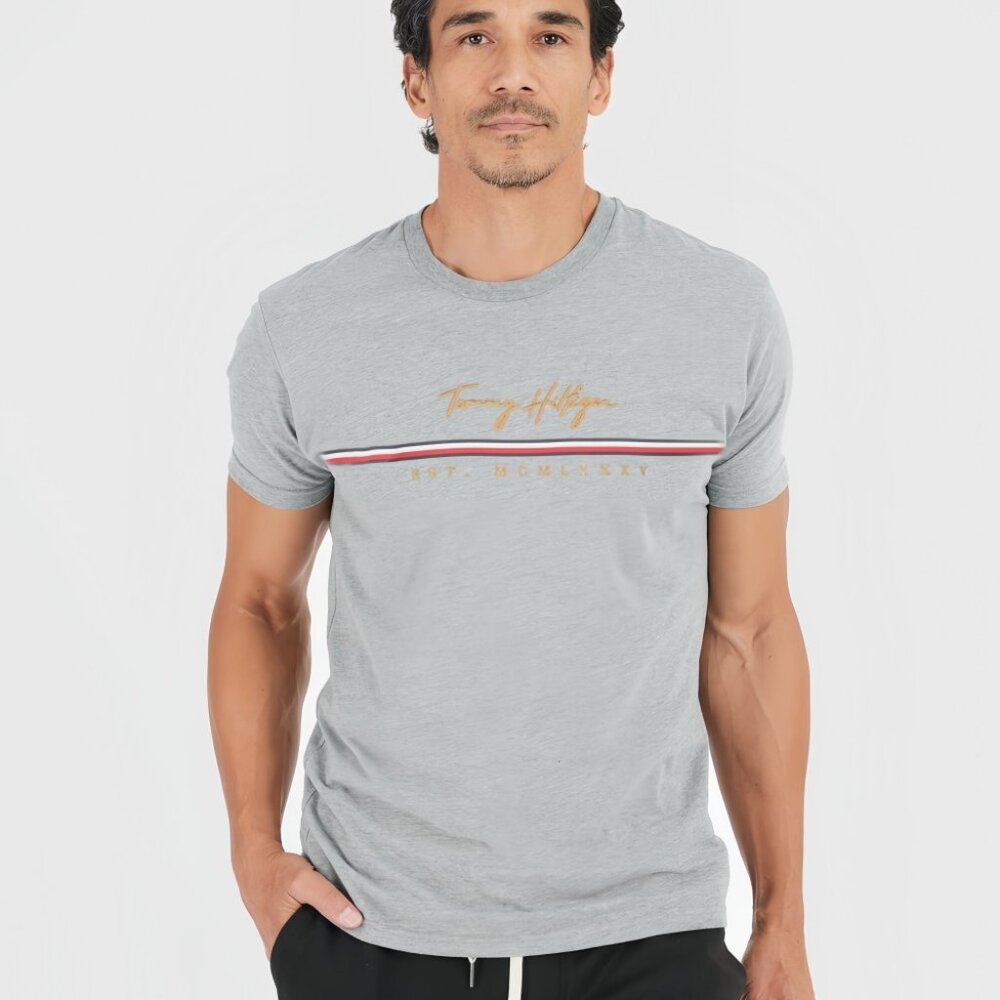 XS S M L XL XXL Tommy Hilfiger 78J4581 050 Tee T shirt NWT